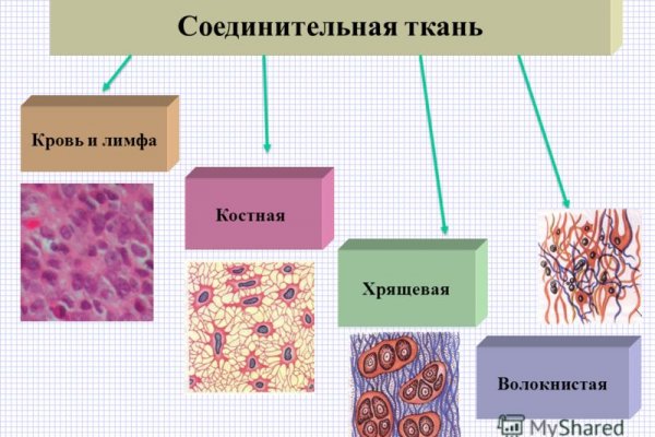 Ссылки тор браузер