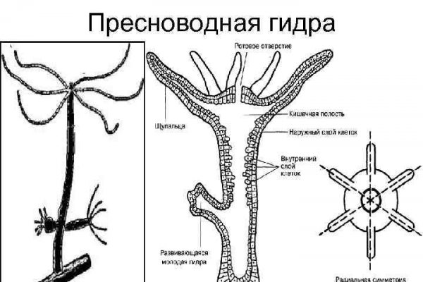 Регистрация на кракен